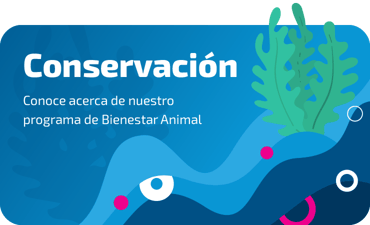 Nueva llamada a la acción