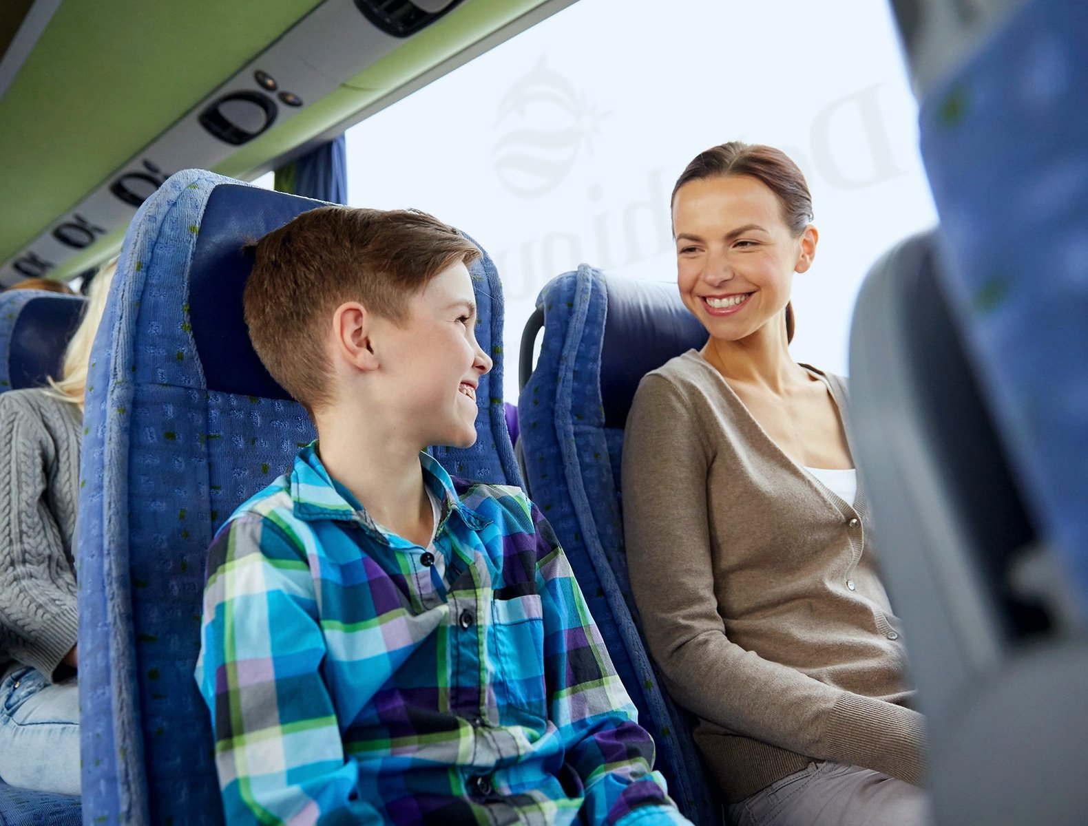 Delphinus Shuttle service