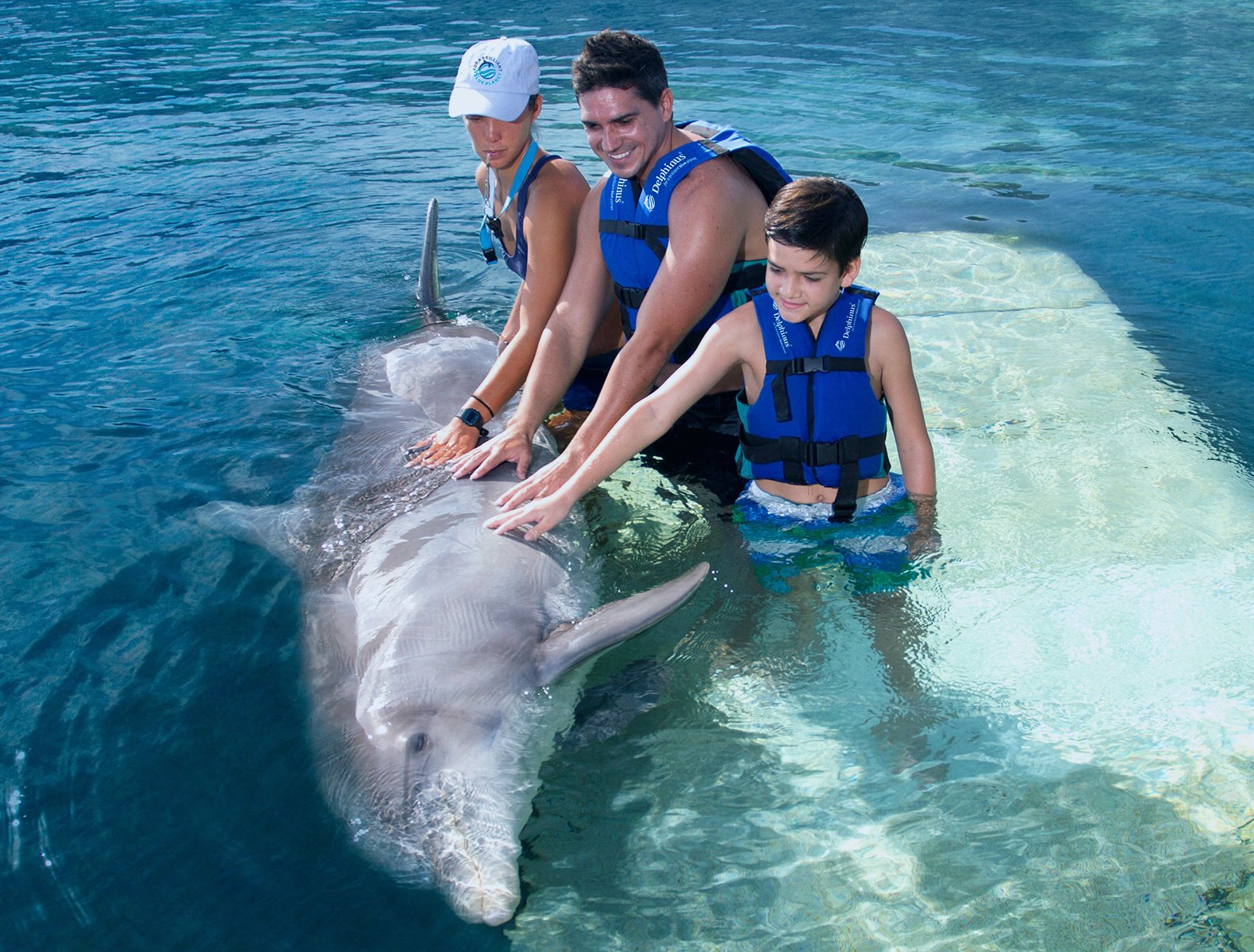 swimming with dolphins frequently asked questions FAQ
