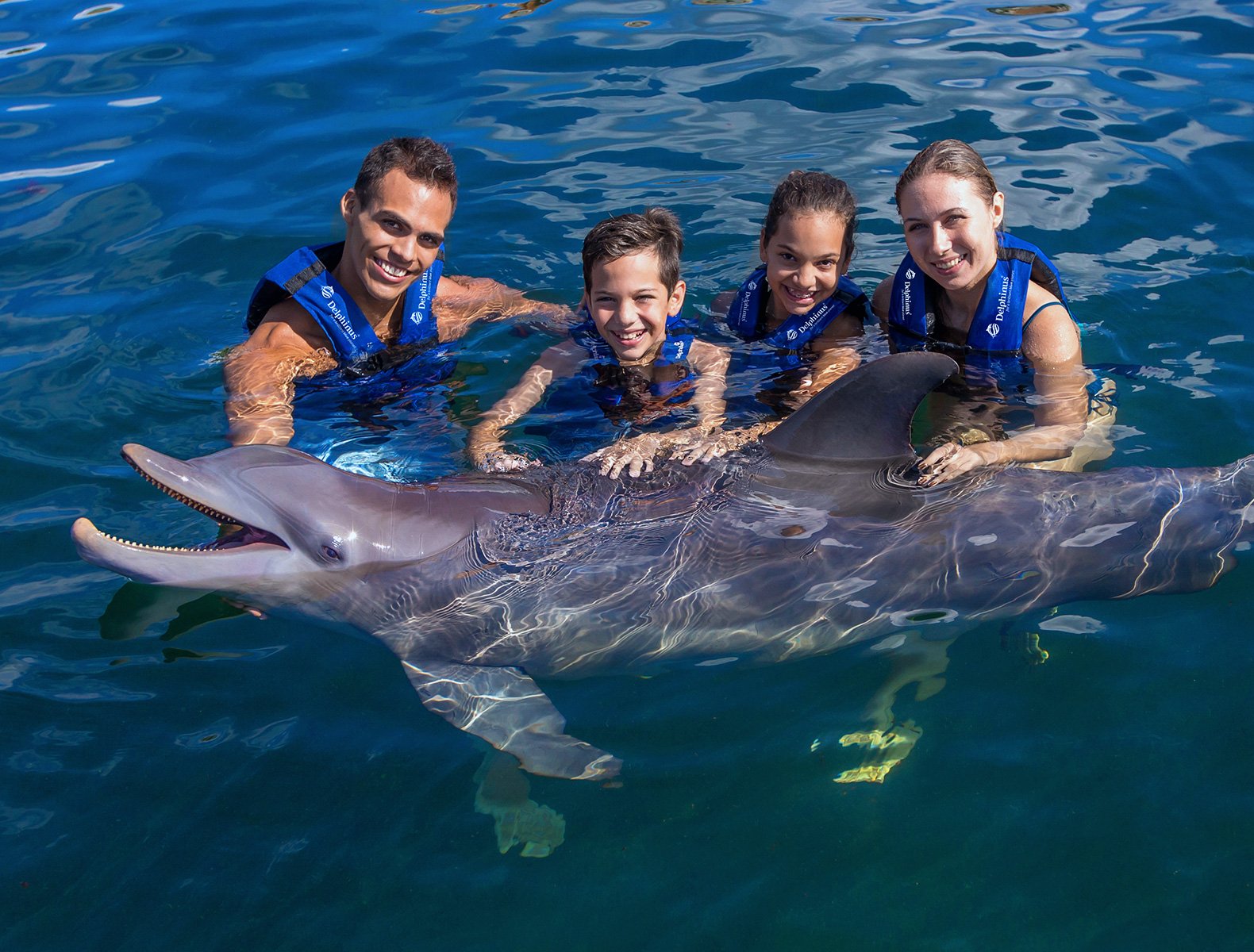 swim with dolphins in mexico
