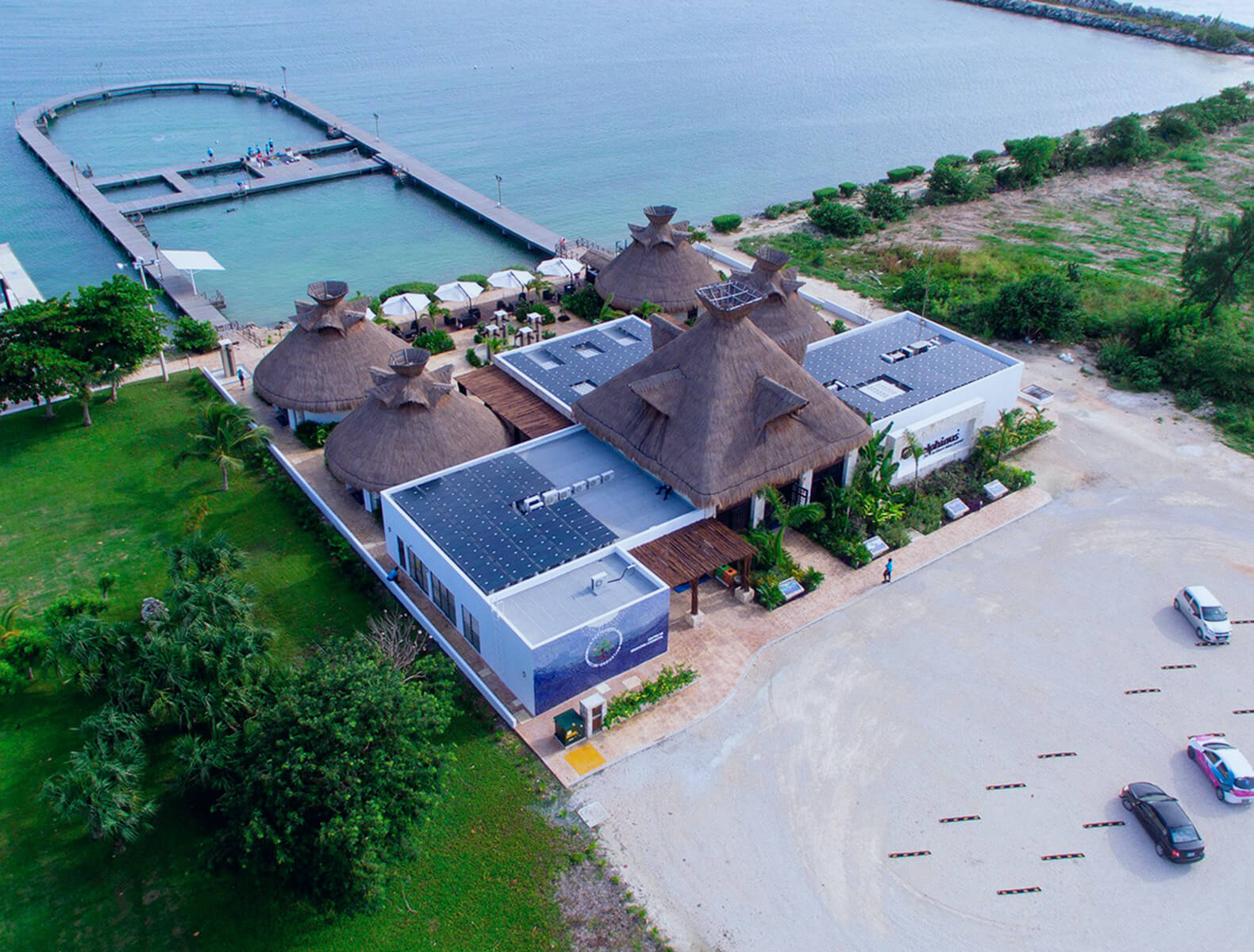 Delphinus Puerto Morelos