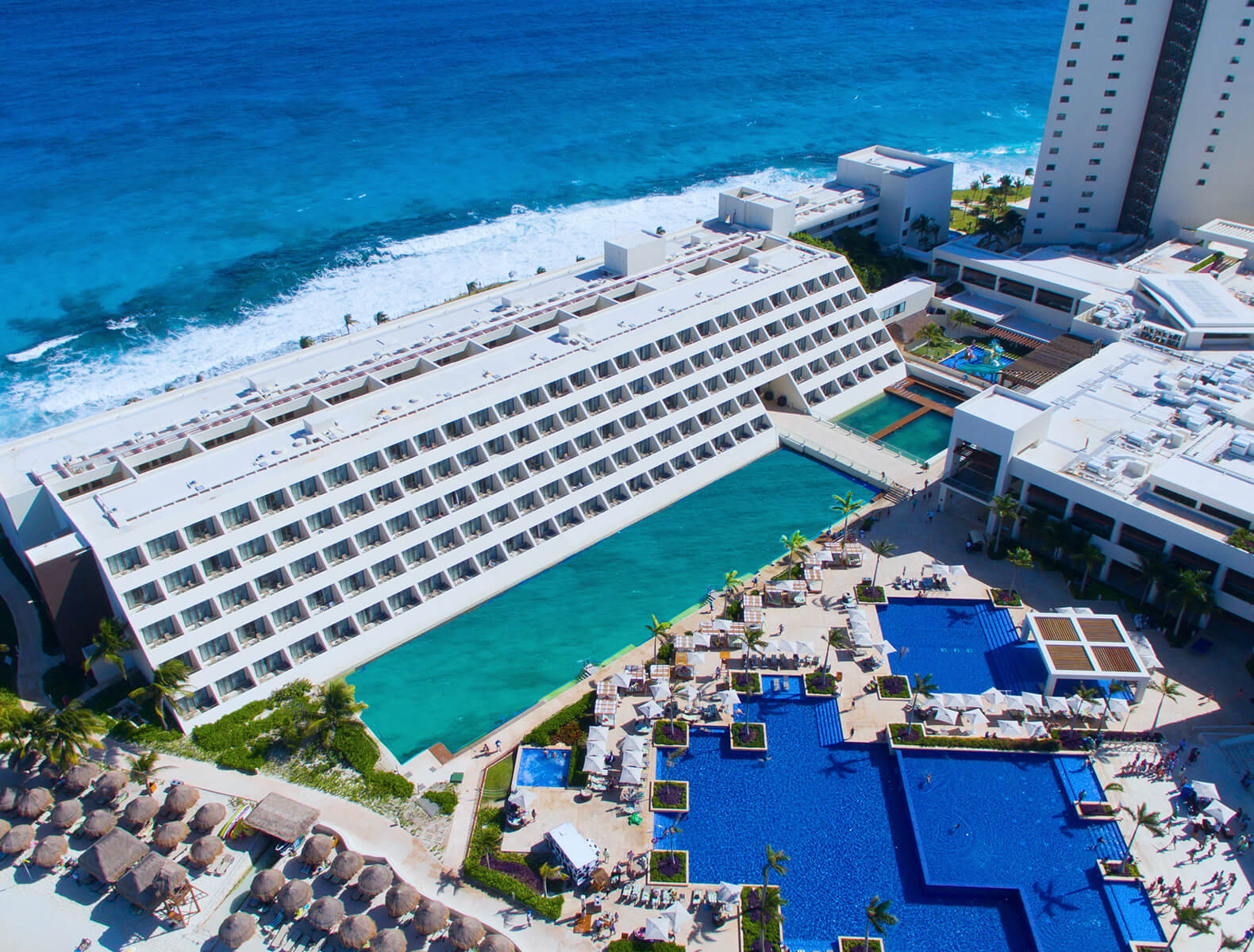 swim with dolphins in punta cancun