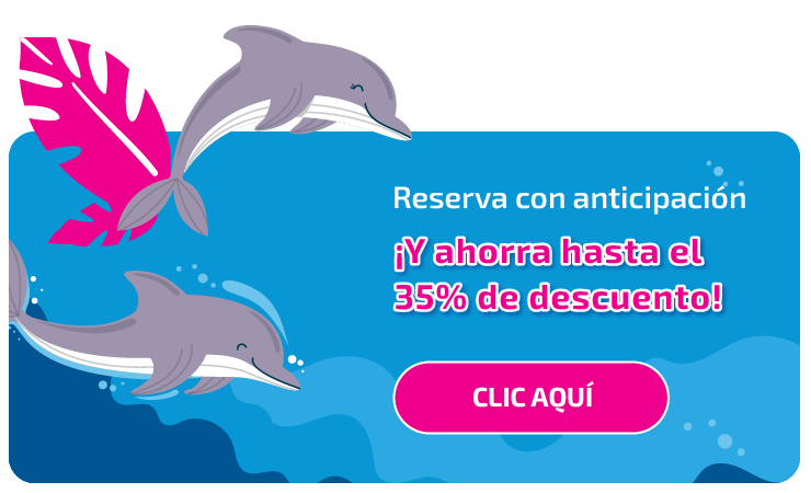 Nueva llamada a la acción