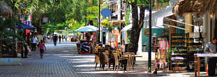 La Quinta Avenida: Guía para visitar este lugar emblemático en playa del Carmen