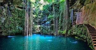 Secretos escondidos: Cenotes de la Riviera Maya que debes conocer