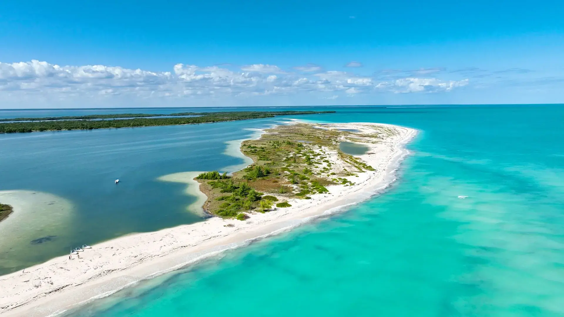 Costa Mujeres: descubre este paraíso al norte de Cancún