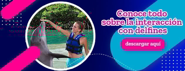 Nueva llamada a la acción