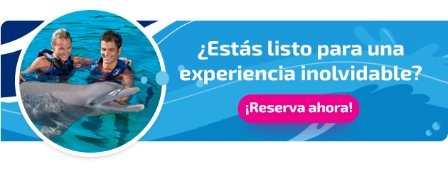 Nueva llamada a la acción