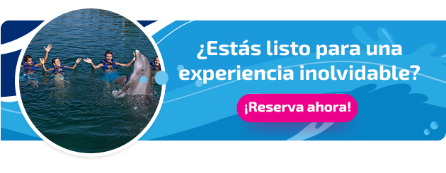 Nueva llamada a la acción