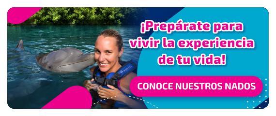 Nueva llamada a la acción