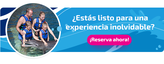 Nueva llamada a la acción