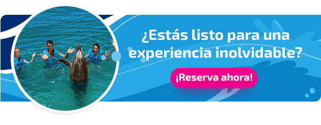 Nueva llamada a la acción