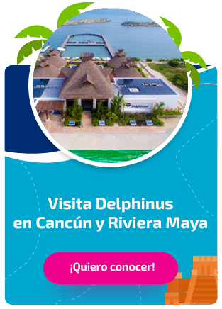 3 Lugares románticos en la Riviera Maya para viajar en pareja 3 Lugares románticos en la Riviera Maya para viajar en pareja