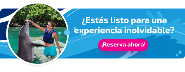 Nueva llamada a la acción