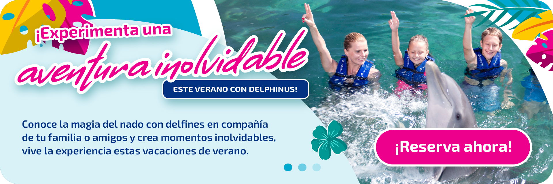vacaciones de verano en delphinus