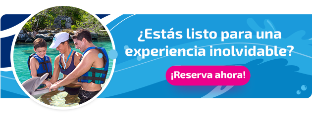 Nueva llamada a la acción