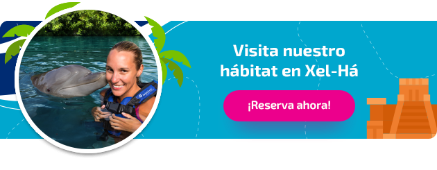 visita Xel-Há