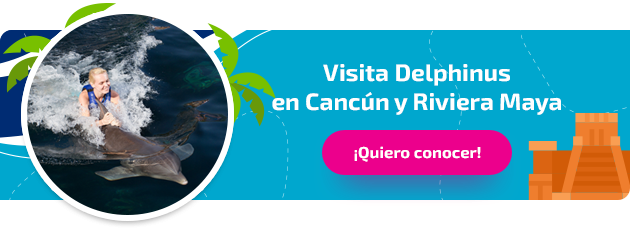 Delphinus en Riviera Maya
